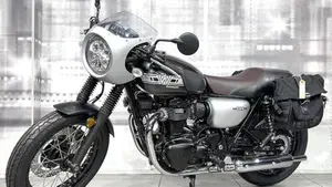 Kawasaki W 800 (2020)  (7)