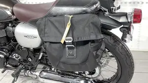 Kawasaki W 800 (2020)  (9)