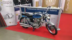 Ducati   (3)