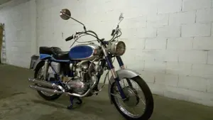 Ducati   (5)