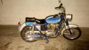 Ducati   (6)
