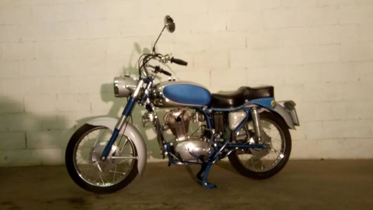 Ducati   (10)