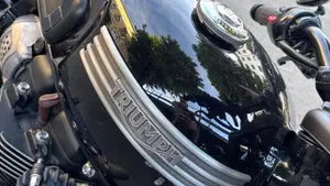 Triumph Bonneville T100 (2017 - 20)  (2)