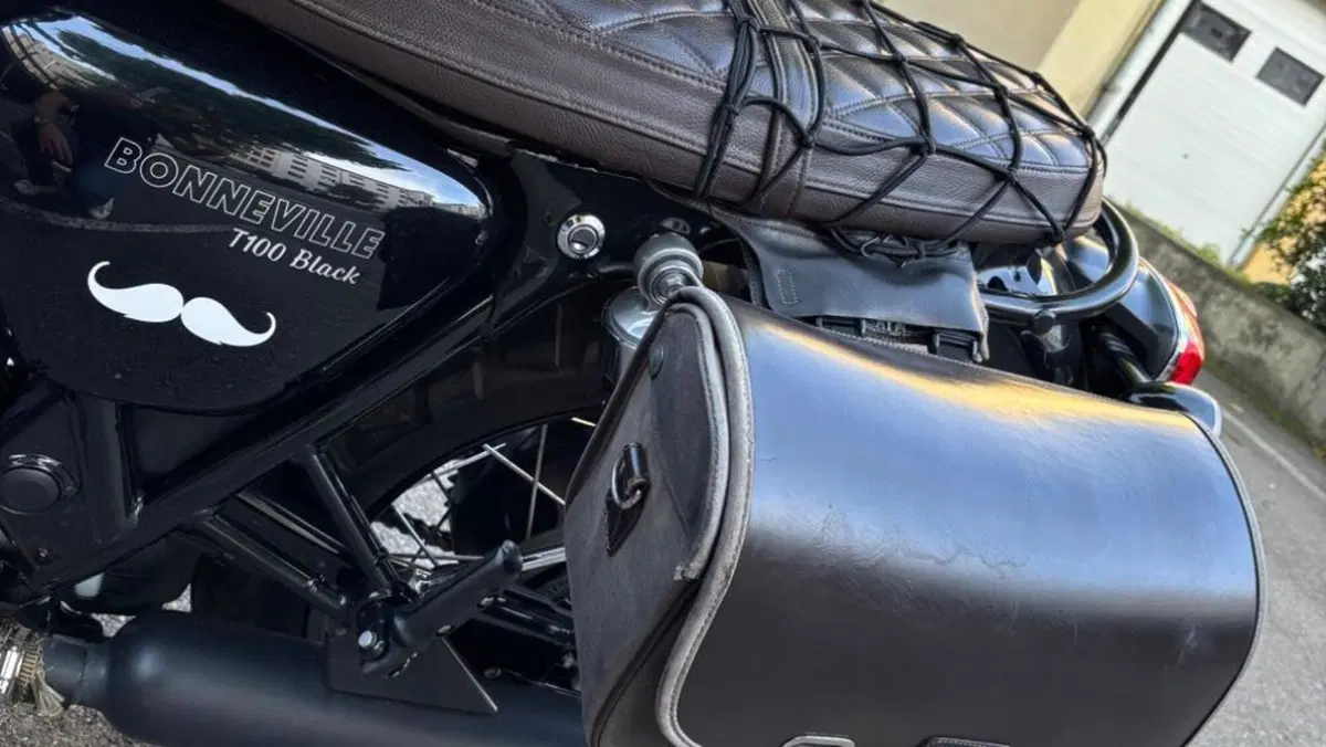 Triumph Bonneville T100 (2017 - 20)  (3)