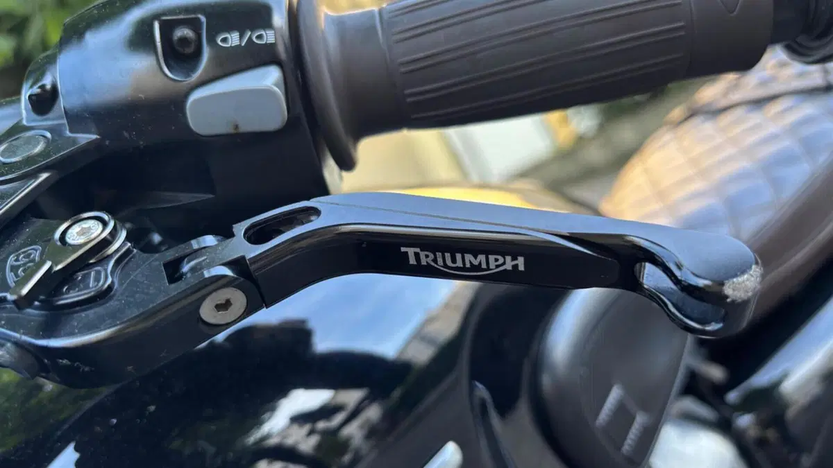 Triumph Bonneville T100 (2017 - 20)  (5)