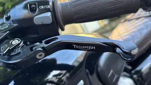 Triumph Bonneville T100 (2017 - 20)  (5)