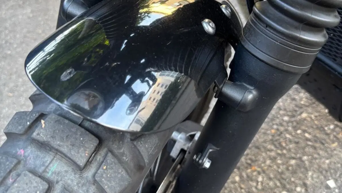 Triumph Bonneville T100 (2017 - 20)  (6)