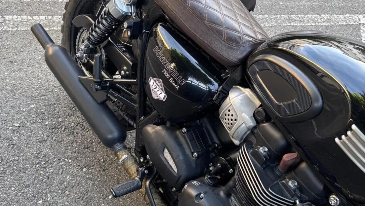 Triumph Bonneville T100 (2017 - 20)  (8)