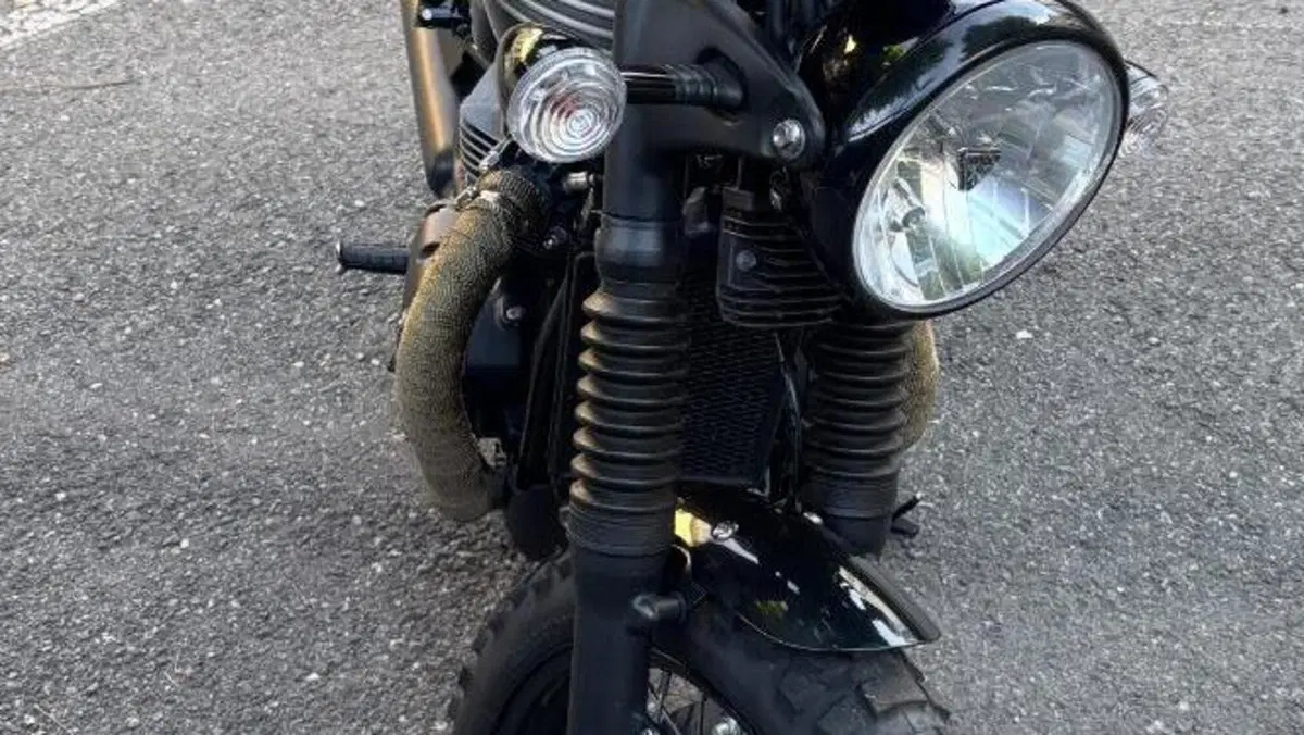 Triumph Bonneville T100 (2017 - 20)  (11)