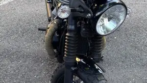 Triumph Bonneville T100 (2017 - 20)  (11)