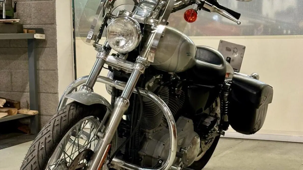 Harley-Davidson 883 Custom (2001 - 05) - XL 53C  (3)