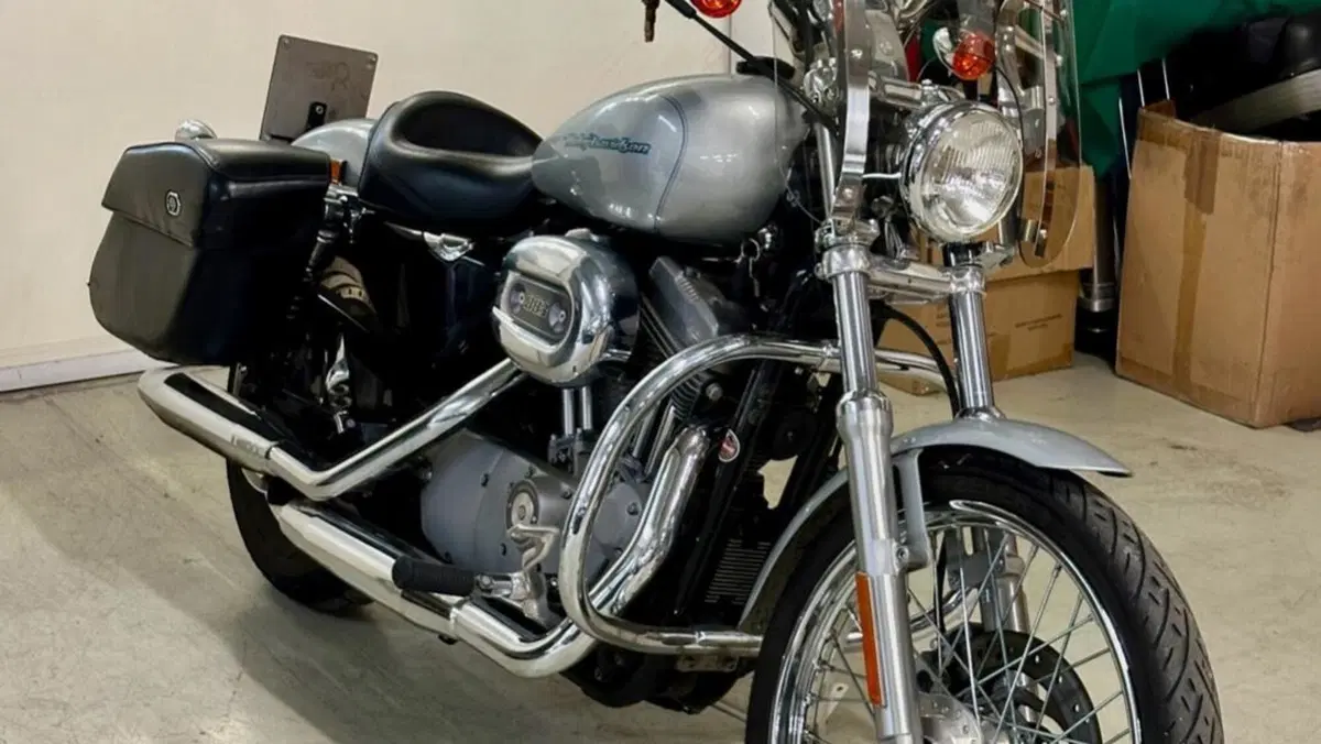 Harley-Davidson 883 Custom (2001 - 05) - XL 53C  (4)