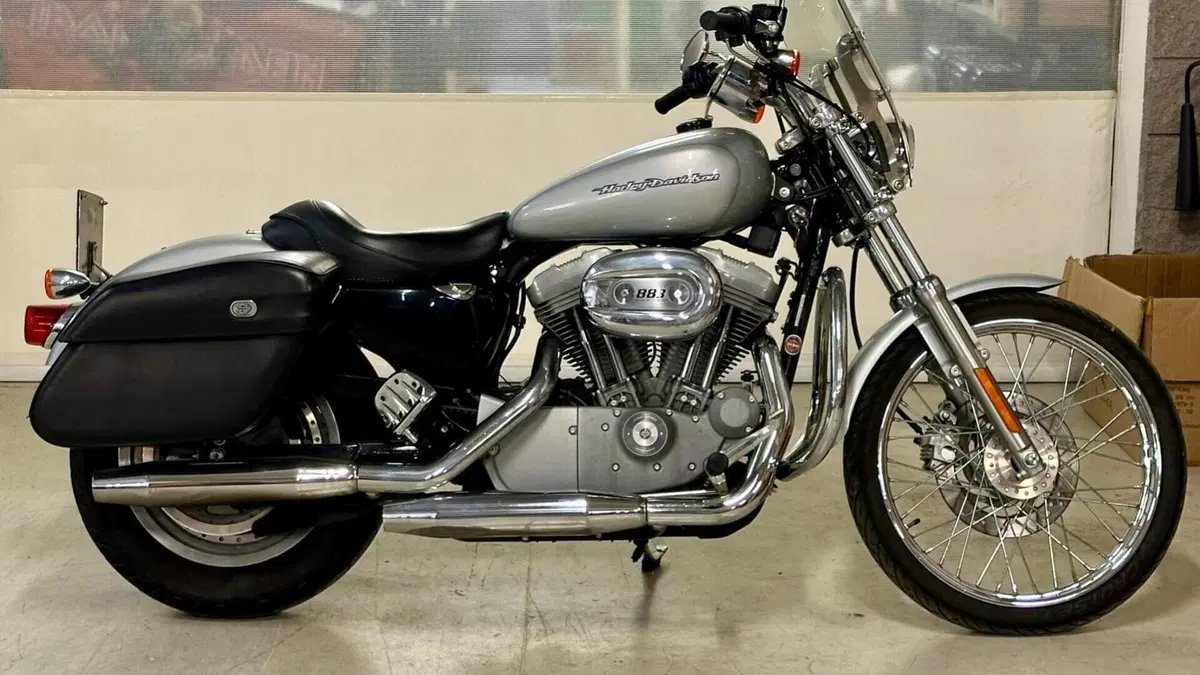 Harley-Davidson 883 Custom (2001 - 05) - XL 53C  (5)