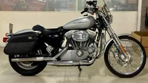 Harley-Davidson 883 Custom (2001 - 05) - XL 53C  (5)
