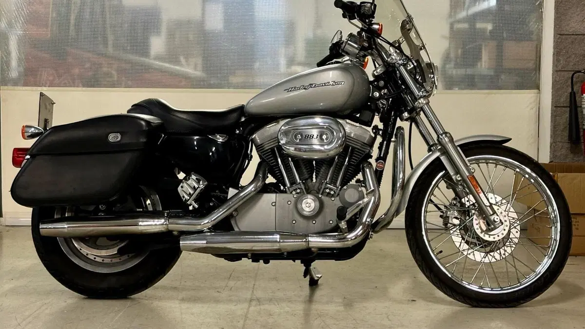 Harley-Davidson 883 Custom (2001 - 05) - XL 53C  (6)