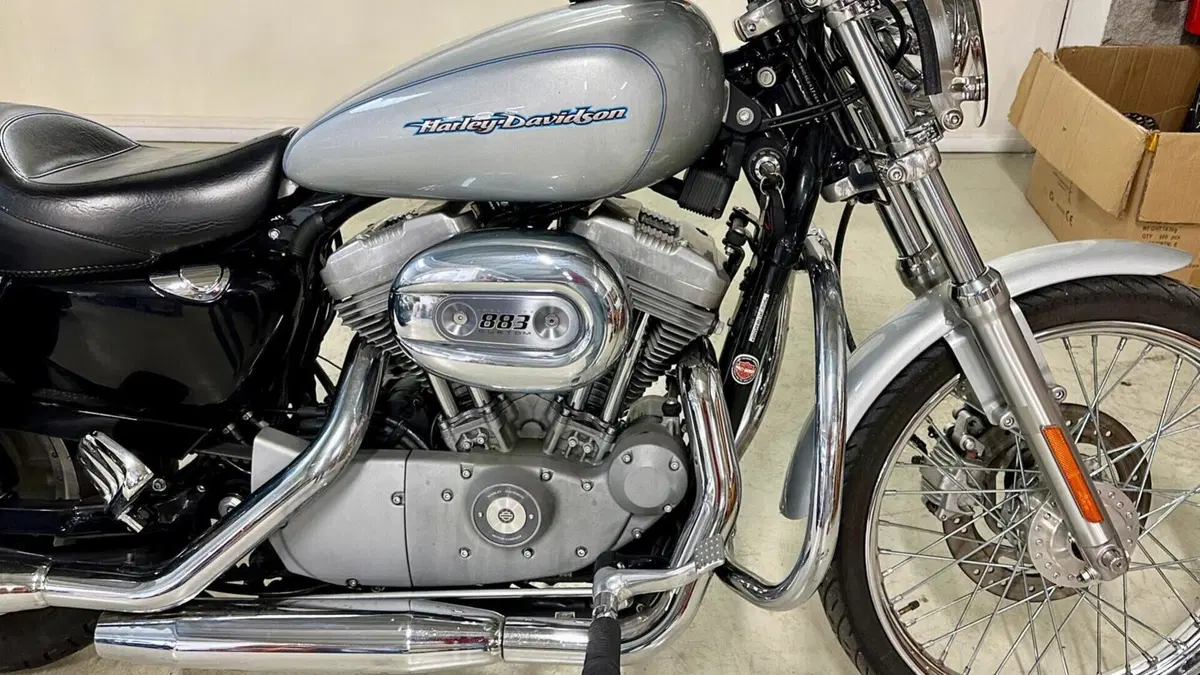 Harley-Davidson 883 Custom (2001 - 05) - XL 53C  (7)