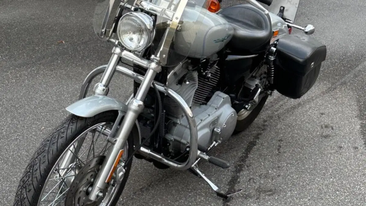 Harley-Davidson 883 Custom (2001 - 05) - XL 53C  (9)