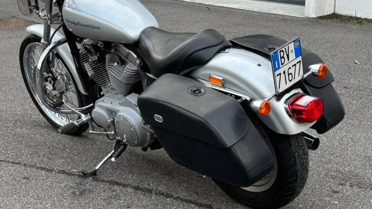 Harley-Davidson 883 Custom (2001 - 05) - XL 53C  (10)