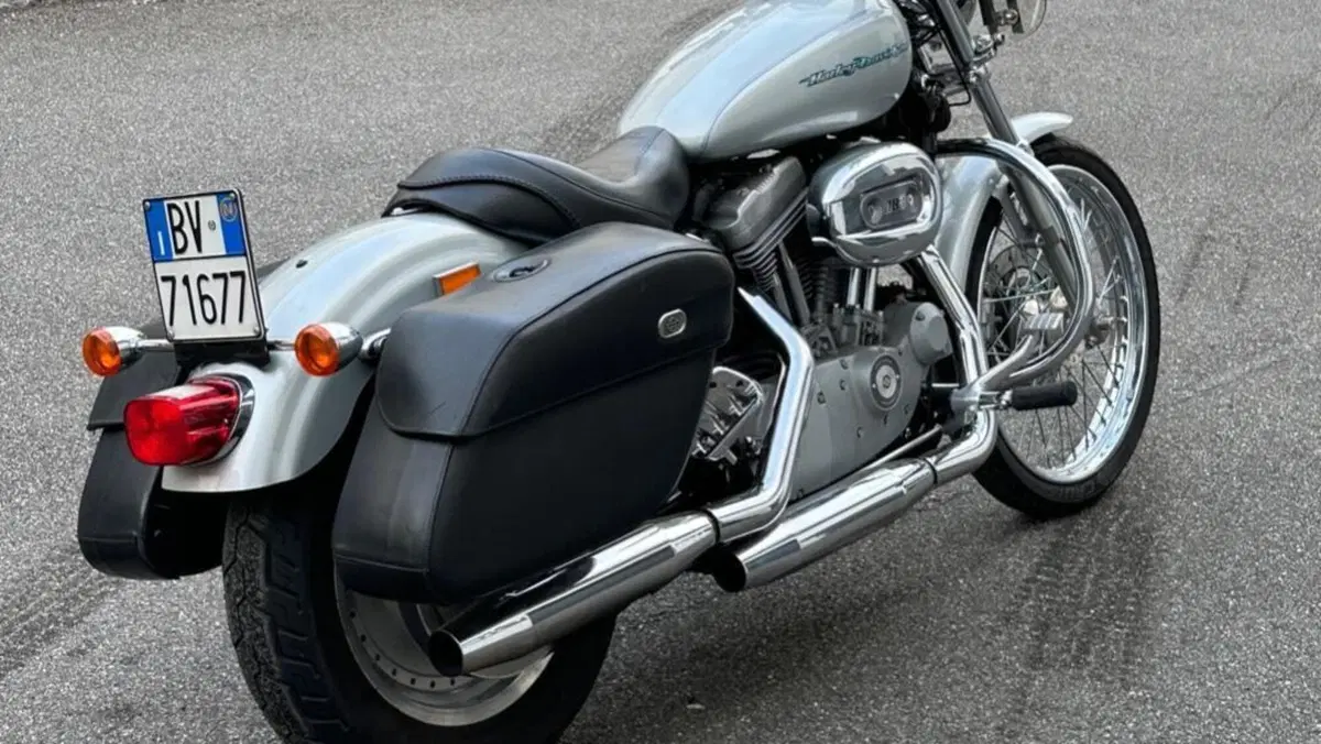Harley-Davidson 883 Custom (2001 - 05) - XL 53C  (11)
