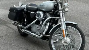 Harley-Davidson 883 Custom (2001 - 05) - XL 53C  (12)