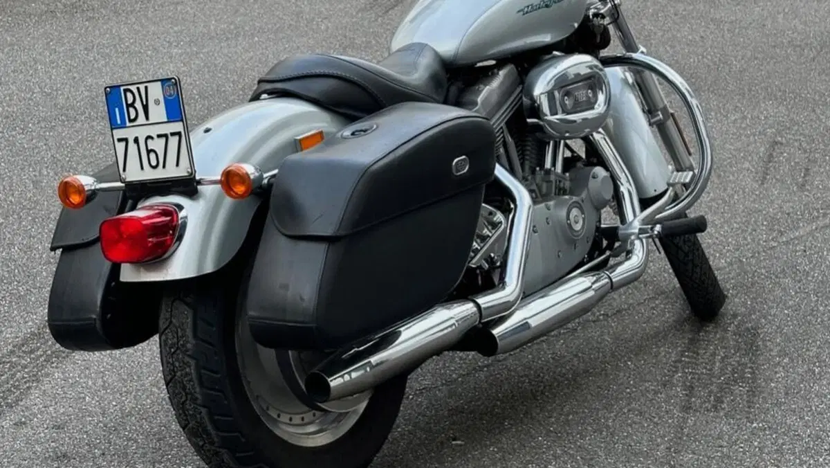 Harley-Davidson 883 Custom (2001 - 05) - XL 53C  (15)