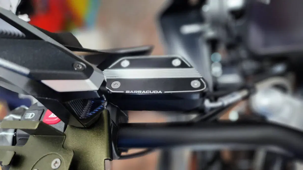 Bmw R 1250 GS (2021 - 24)  (2)
