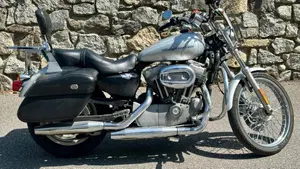 Harley-Davidson 883 Custom (2001 - 05) - XL 53C  (16)