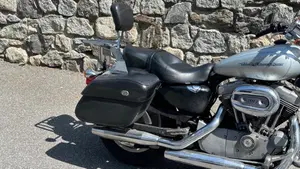 Harley-Davidson 883 Custom (2001 - 05) - XL 53C  (17)