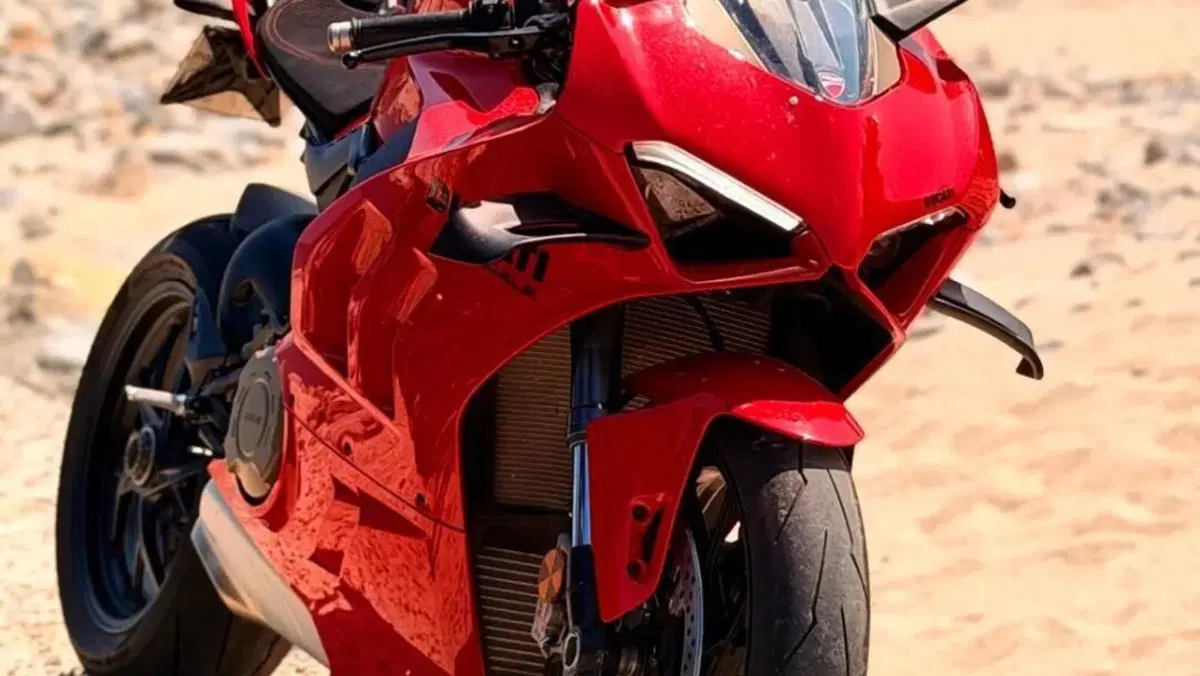Ducati Panigale V4 (2022 - 24)  (2)