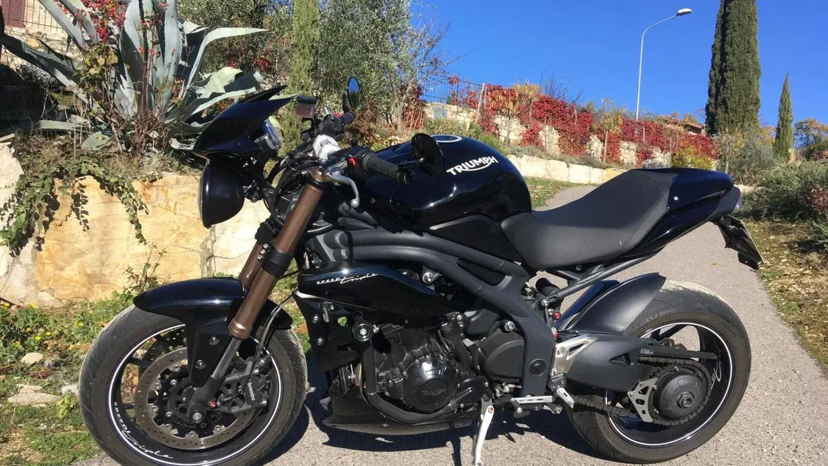 Triumph Speed Triple 1050 ABS (2011 - 15)  (2)