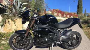 Triumph Speed Triple 1050 ABS (2011 - 15)  (2)
