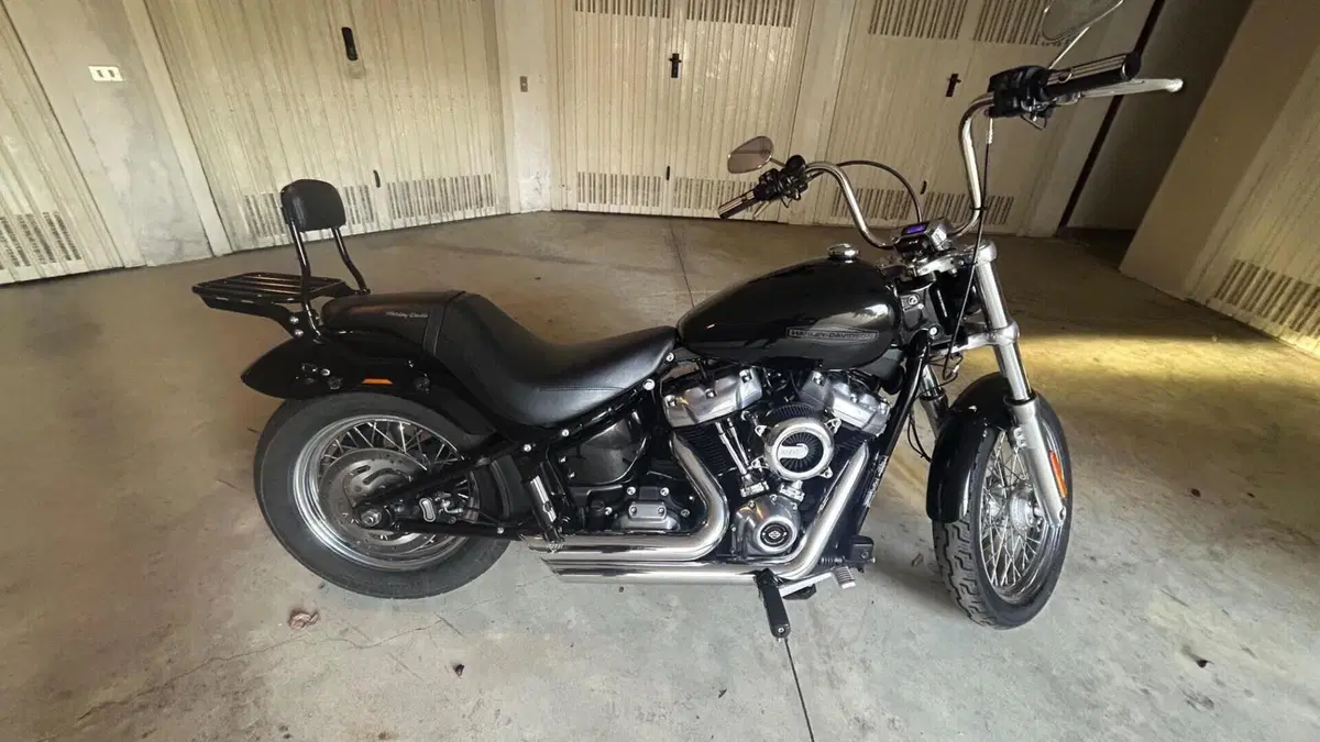 Harley-Davidson Softail Standard (2020) - FXST 
