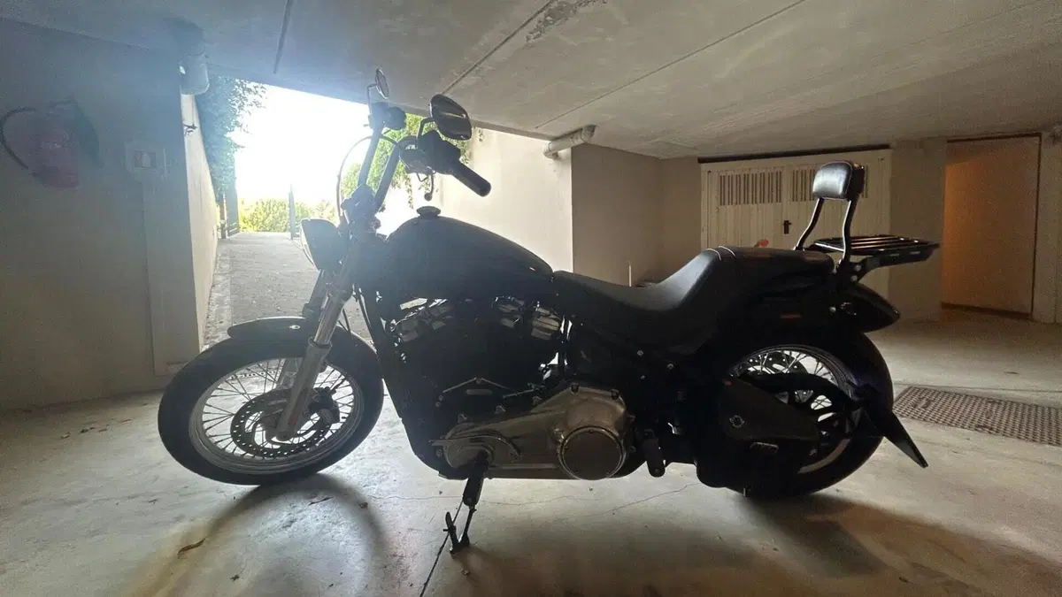 Harley-Davidson Softail Standard (2020) - FXST  (2)