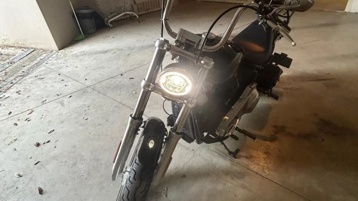 Harley-Davidson Softail Standard (2020) - FXST  (3)