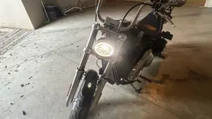 Harley-Davidson Softail Standard (2020) - FXST  (3)