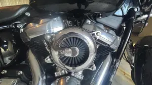 Harley-Davidson Softail Standard (2020) - FXST  (4)