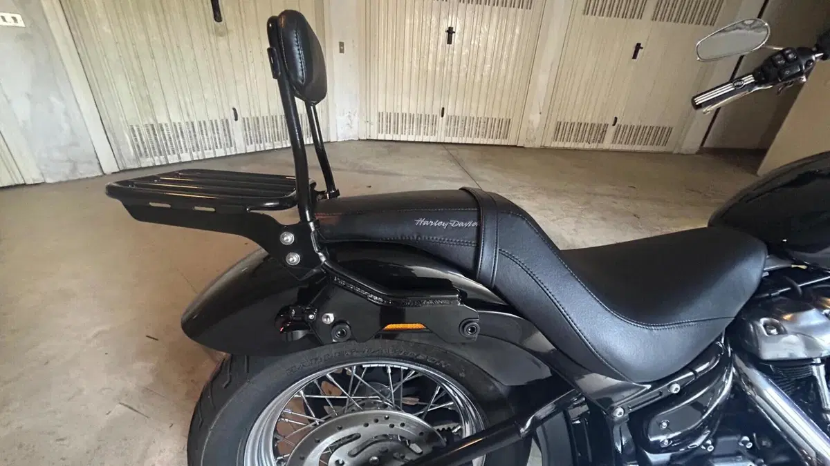 Harley-Davidson Softail Standard (2020) - FXST  (6)