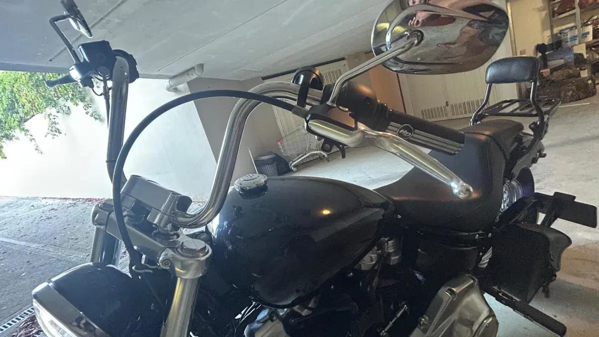 Harley-Davidson Softail Standard (2020) - FXST  (7)