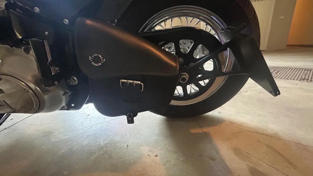 Harley-Davidson Softail Standard (2020) - FXST  (10)
