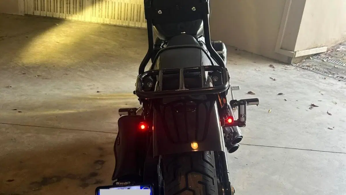 Harley-Davidson Softail Standard (2020) - FXST  (11)