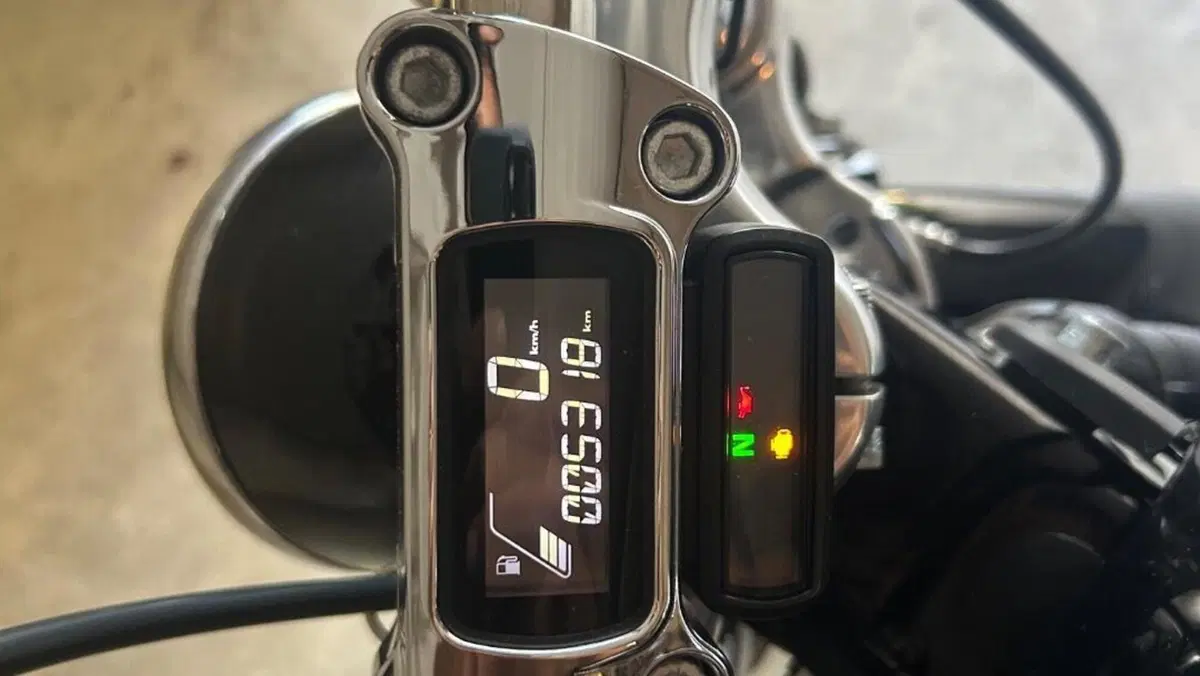 Harley-Davidson Softail Standard (2020) - FXST  (14)