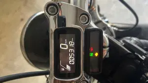 Harley-Davidson Softail Standard (2020) - FXST  (14)