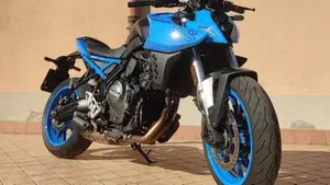 Suzuki GSX-8S (2023 - 24)  (3)