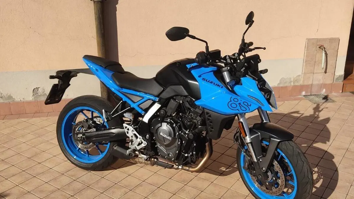 Suzuki GSX-8S (2023 - 24)  (6)