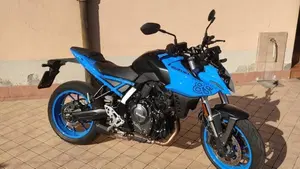 Suzuki GSX-8S (2023 - 24)  (6)