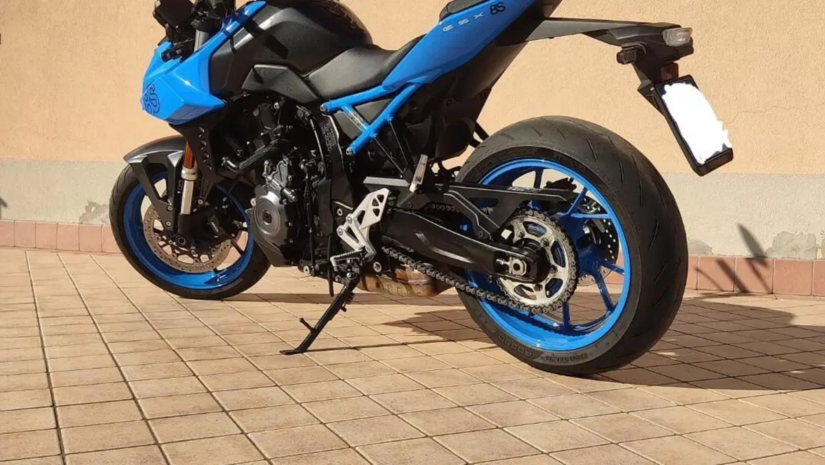 Suzuki GSX-8S (2023 - 24)  (7)