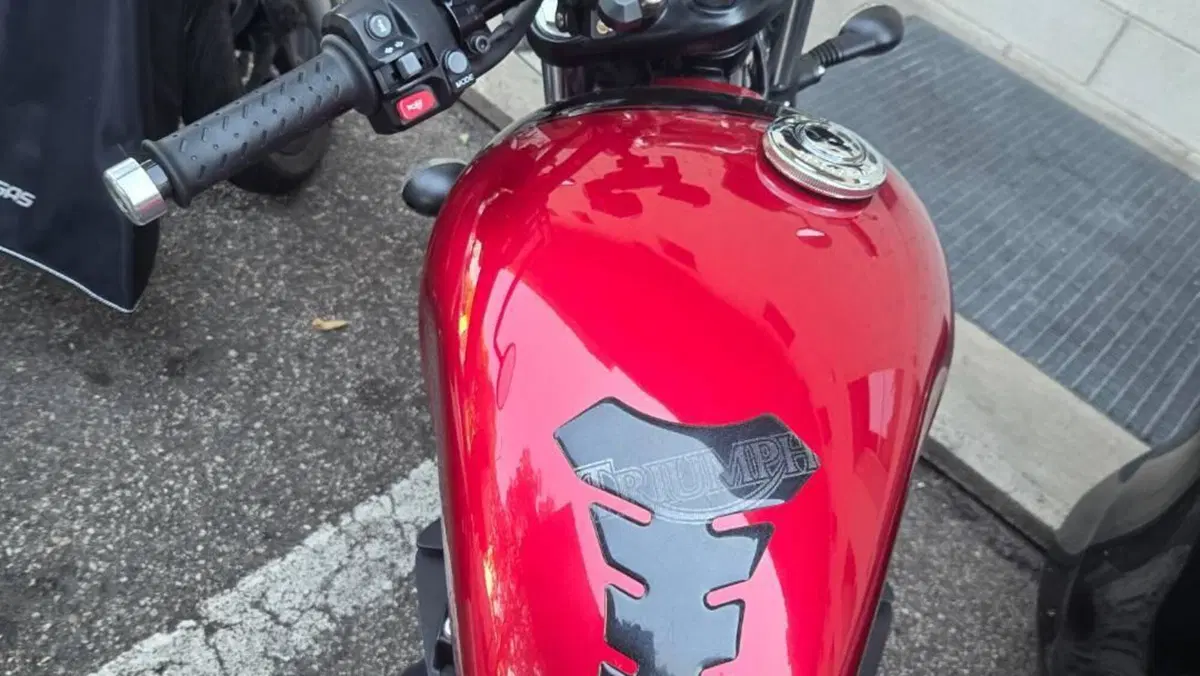 Triumph Speed Twin 900 Stealth Edition (2024)  (2)