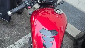 Triumph Speed Twin 900 Stealth Edition (2024)  (2)