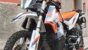KTM 890 Adventure R Rally (2021)  (20)