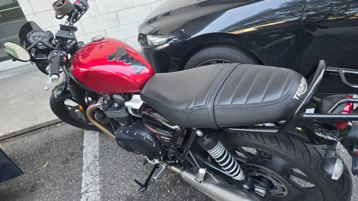 Triumph Speed Twin 900 Stealth Edition (2024)  (4)